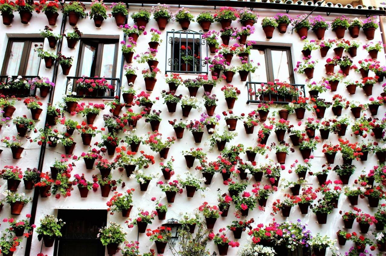 Tendillas Suite Cordoba Dış mekan fotoğraf